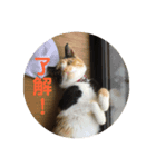 パッチスタンプ（個別スタンプ：8）