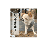 ぽよみの日常 その2（個別スタンプ：1）