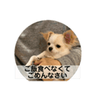 ぽよみの日常 その2（個別スタンプ：2）