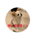 ぽよみの日常 その2（個別スタンプ：6）
