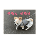 ぽよみの日常 その2（個別スタンプ：7）
