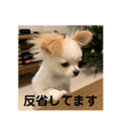 ぽよみの日常 その2（個別スタンプ：8）