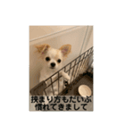 ぽよみの日常 その2（個別スタンプ：9）