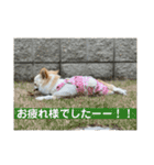 ぽよみの日常 その2（個別スタンプ：12）