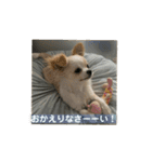 ぽよみの日常 その2（個別スタンプ：14）