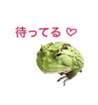 うちのペットの独り言（個別スタンプ：7）