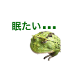 うちのペットの独り言（個別スタンプ：8）