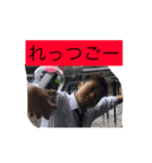 ゴリゴリこうきスタンプ（個別スタンプ：3）