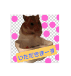 杉さん家（個別スタンプ：4）