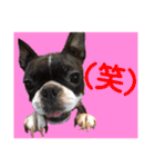 杉さん家（個別スタンプ：9）