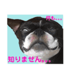 杉さん家（個別スタンプ：13）
