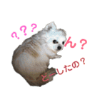 杉さん家（個別スタンプ：15）