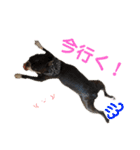 杉さん家（個別スタンプ：17）