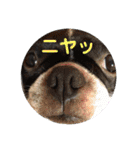 杉さん家（個別スタンプ：18）