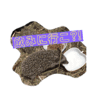 杉さん家（個別スタンプ：20）