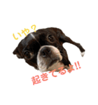 杉さん家（個別スタンプ：27）