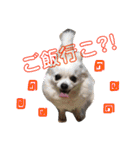 杉さん家（個別スタンプ：29）