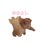 らぷちゃんのスタンプ（個別スタンプ：5）