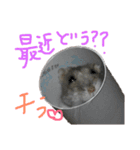 ハムスターのスタンプ作ってみた（個別スタンプ：4）