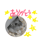 ハムスターのスタンプ作ってみた（個別スタンプ：6）