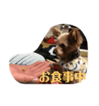 さくらの毎日〜（個別スタンプ：5）