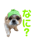 シーズーのちっぷちゃん（個別スタンプ：18）