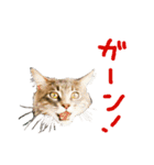 ねこに返事させる（個別スタンプ：10）
