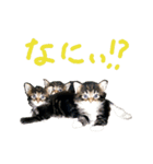 ねこに返事させる（個別スタンプ：22）