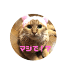 モジョのもじょもじょデイズ（個別スタンプ：2）