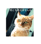 モジョのもじょもじょデイズ（個別スタンプ：8）