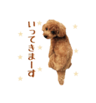 marron#3（個別スタンプ：9）