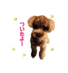 marron#3（個別スタンプ：10）