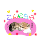ドンノブボム  ②（個別スタンプ：5）