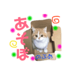 ドンノブボム  ②（個別スタンプ：6）