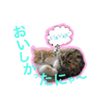 ドンノブボム  ②（個別スタンプ：8）