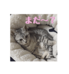 ぷりぷりてんてん（個別スタンプ：7）