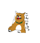 柴犬モチのスタンプ（個別スタンプ：2）