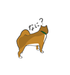柴犬モチのスタンプ（個別スタンプ：3）