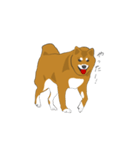 柴犬モチのスタンプ（個別スタンプ：11）