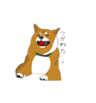 柴犬モチのスタンプ（個別スタンプ：13）