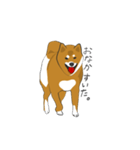 柴犬モチのスタンプ（個別スタンプ：14）