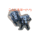 ルチミミ3（個別スタンプ：2）