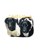 ルチミミ3（個別スタンプ：3）