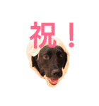 ルチミミ4（個別スタンプ：6）