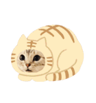 ねこスタンプ(サニー)（個別スタンプ：28）