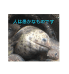 ウツボも可愛いんです（個別スタンプ：2）