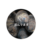 ウツボも可愛いんです（個別スタンプ：6）