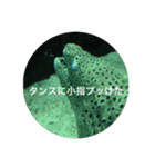 ウツボも可愛いんです（個別スタンプ：7）