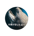 ウツボも可愛いんです（個別スタンプ：8）