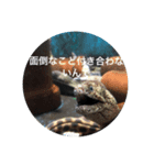 ウツボも可愛いんです（個別スタンプ：10）